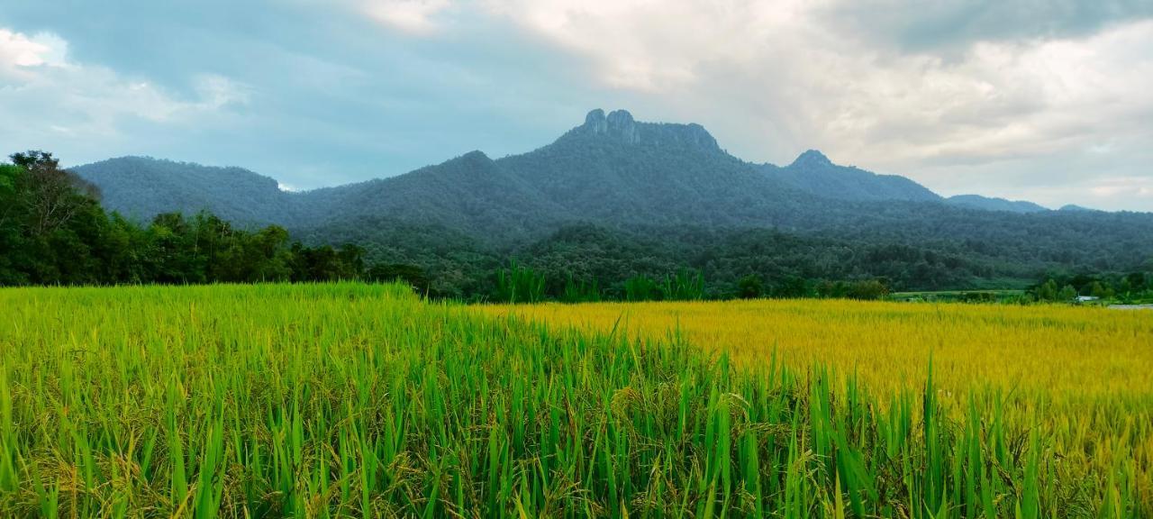 Villa Pimpisa Garden พิมพิศา การ์เด้นท์ Khuang Kom Exterior foto